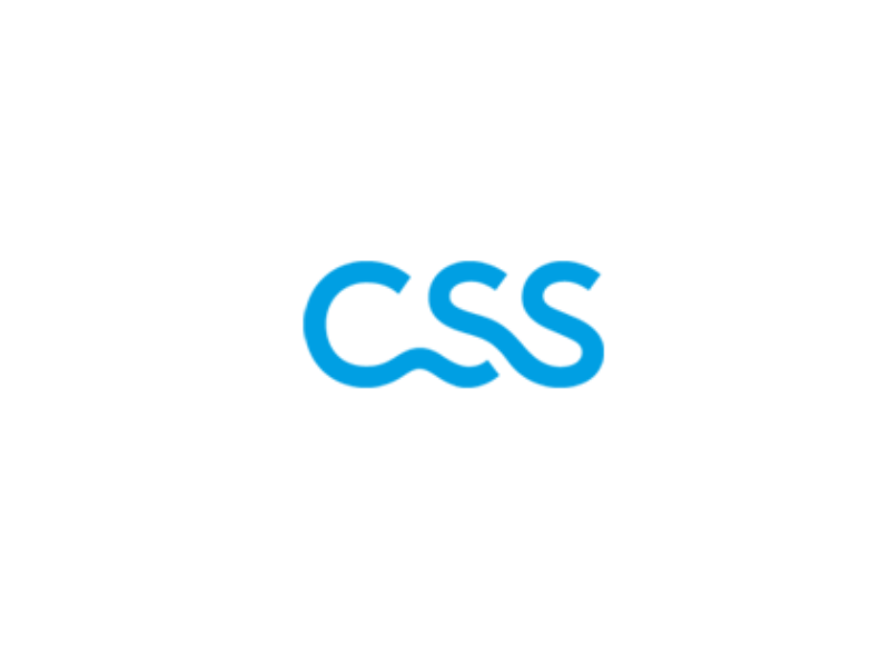 CSS
