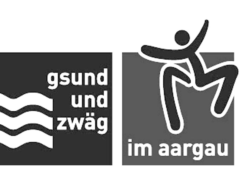 Kanton Aargau Departement Gesundheit und Soziales