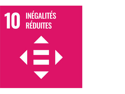 SDG icon FR 10