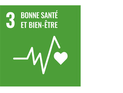 SDG icon FR 3