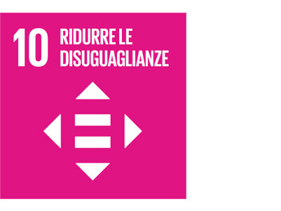 SDG icon IT 10