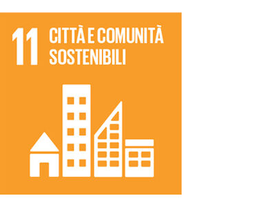 SDG icon IT 11