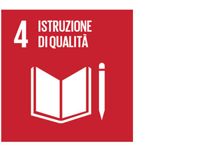 SDG icon IT 4