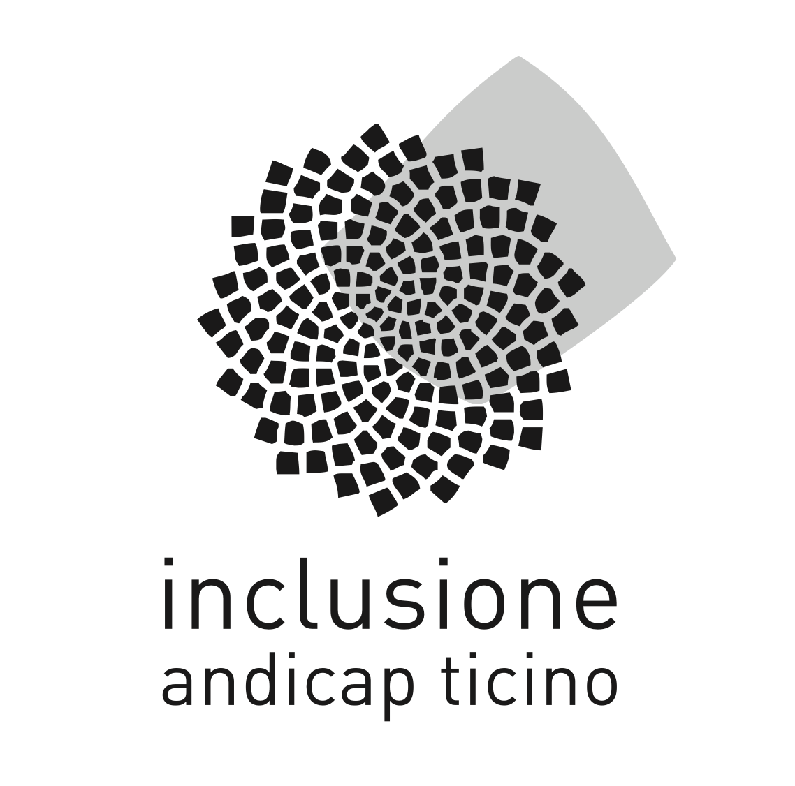 inclusione andicap ticino